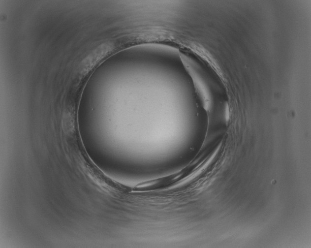 X0000070230393200605301501