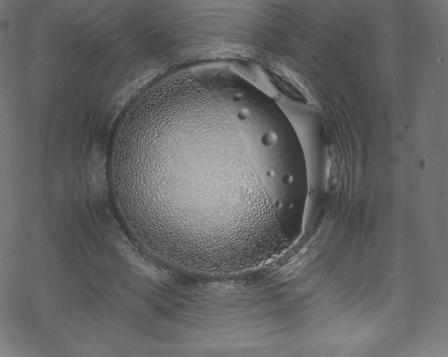 X0000070230394200605301501