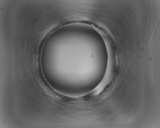 X0000070230395200605301501