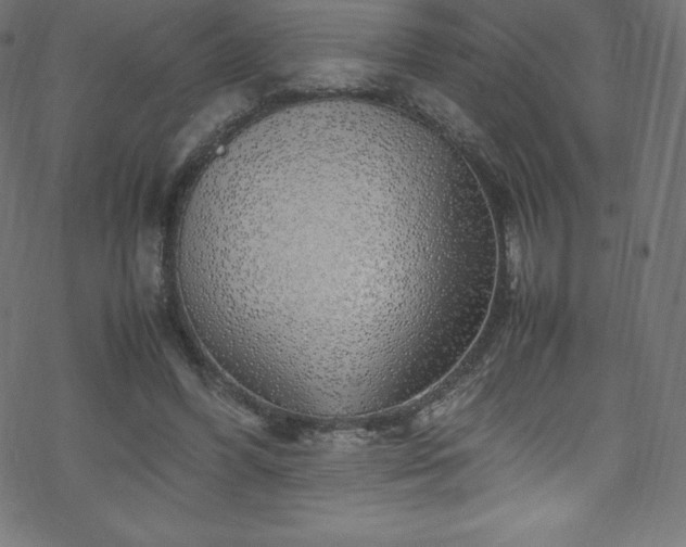 X0000070230396200605301501