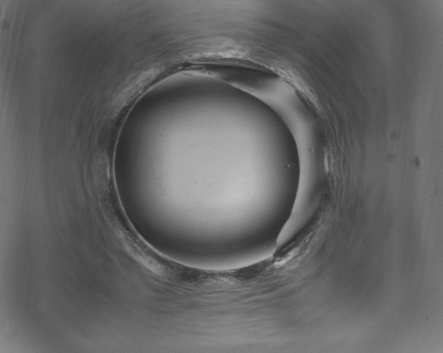 X0000070230397200605301501