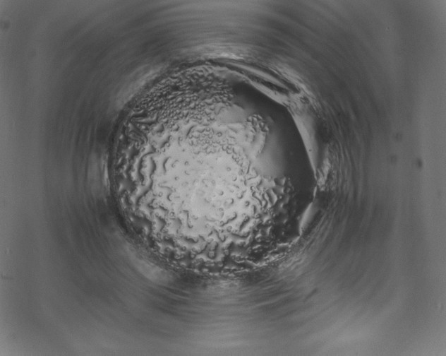 X0000070230398200605301501