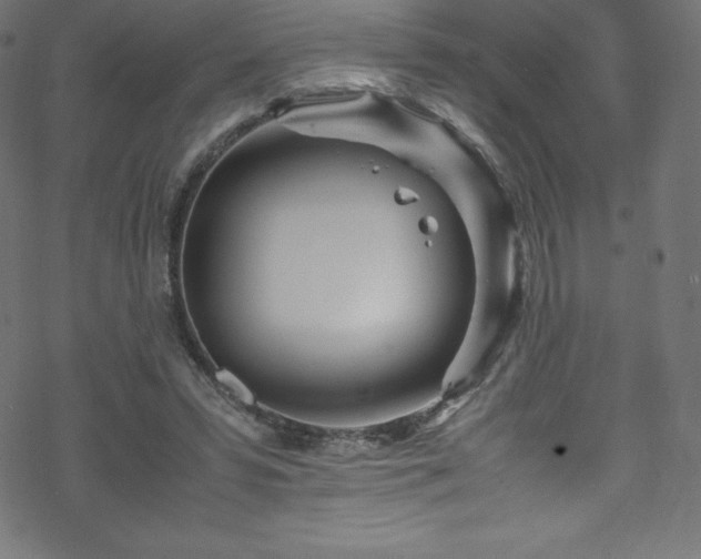 X0000070230399200605301501