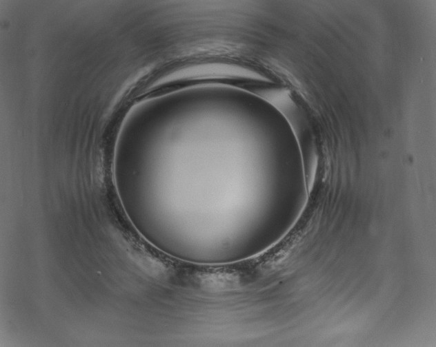 X0000070230400200605301501