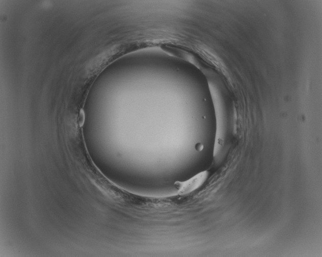 X0000070230401200605301501