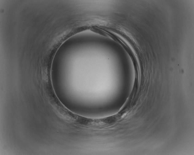 X0000070230403200605301501