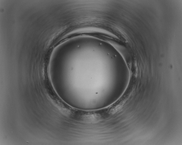 X0000070230404200605301500