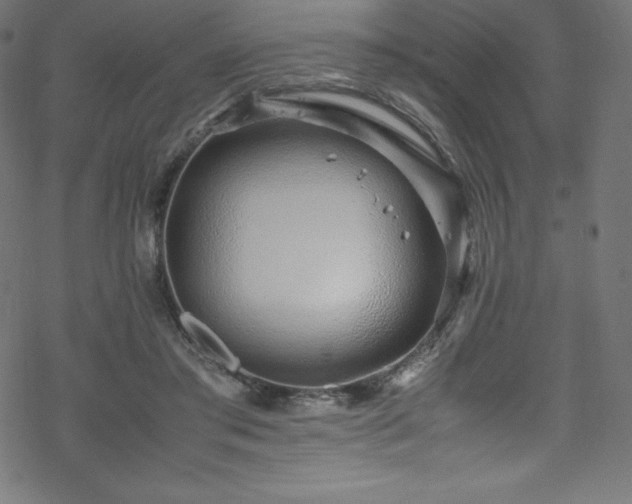 X0000070230405200605301500