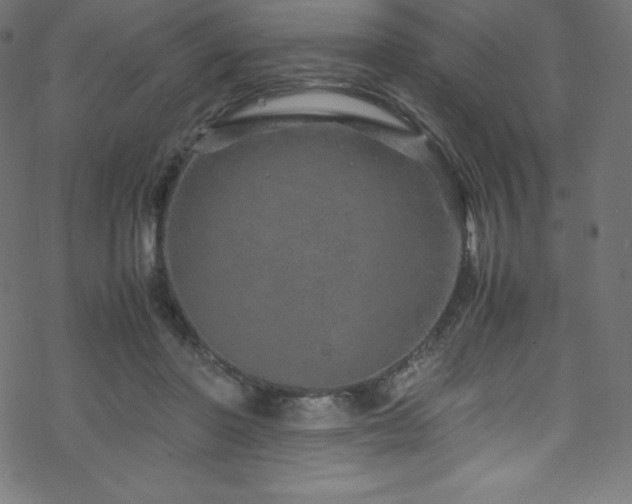 X0000070230406200605301500