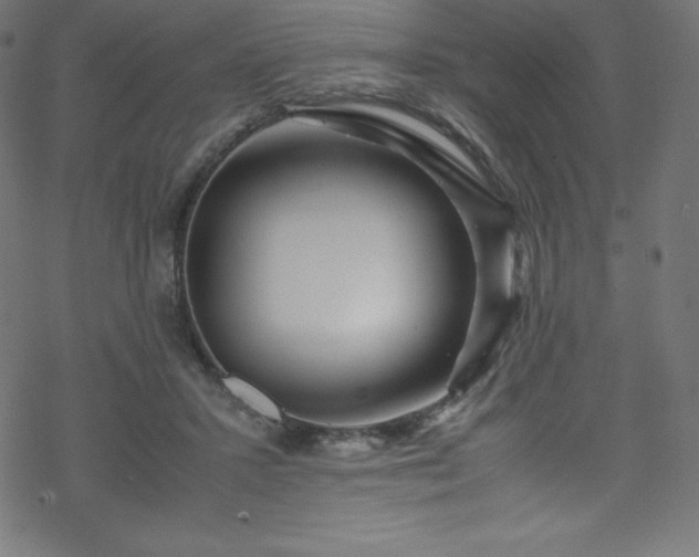 X0000070230407200605301500