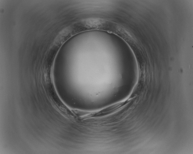 X0000070230408200605301500