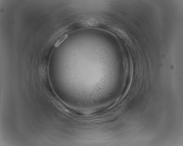 X0000070230409200605301500