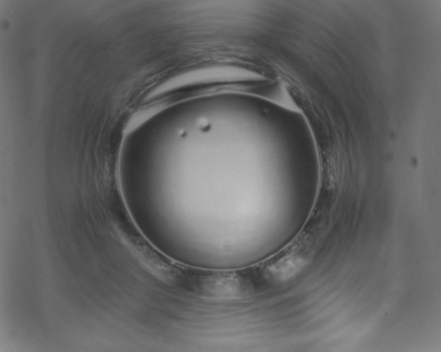 X0000070230410200605301500