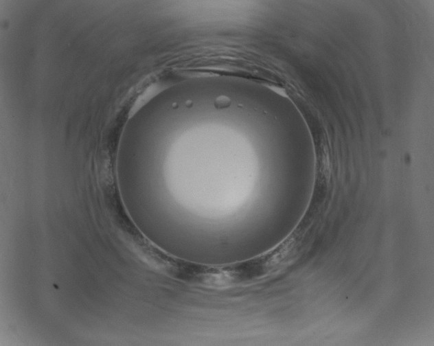 X0000070230411200605301500