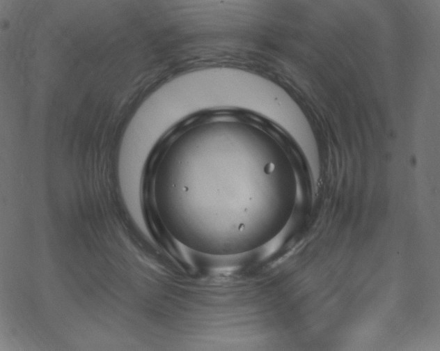 X0000070230412200605301500