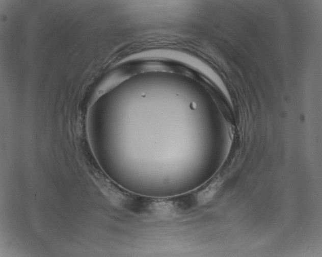 X0000070230413200605301500