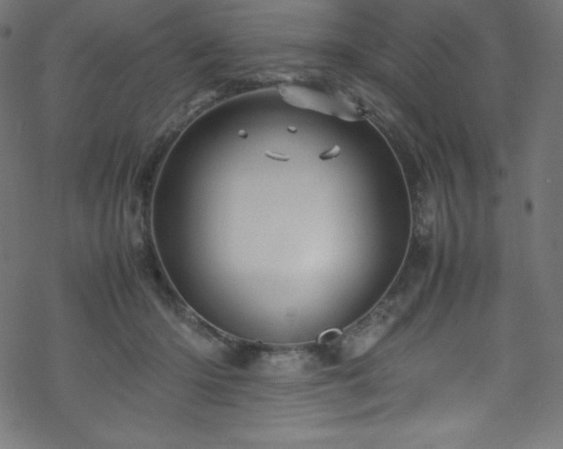 X0000070230414200605301500