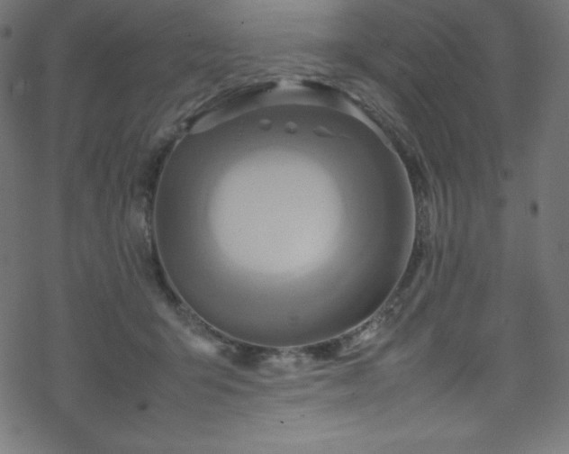 X0000070230415200605301500