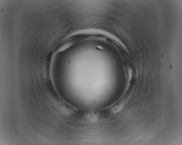 X0000070230416200605301500