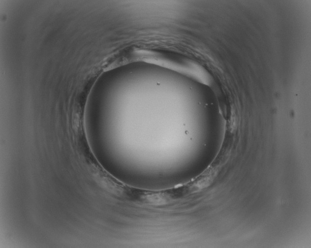 X0000070230417200605301500