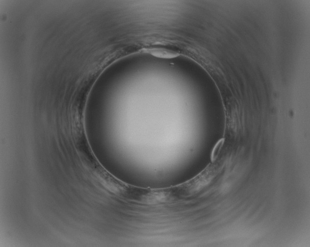 X0000070230418200605301500