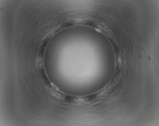 X0000070230419200605301500