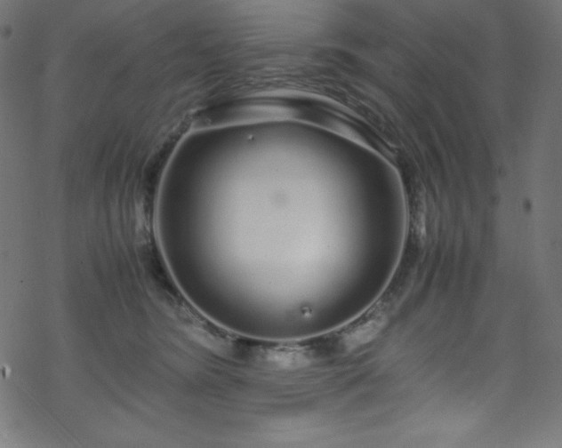 X0000070230420200605301500