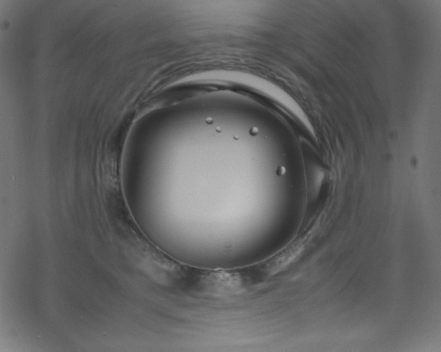 X0000070230421200605301500