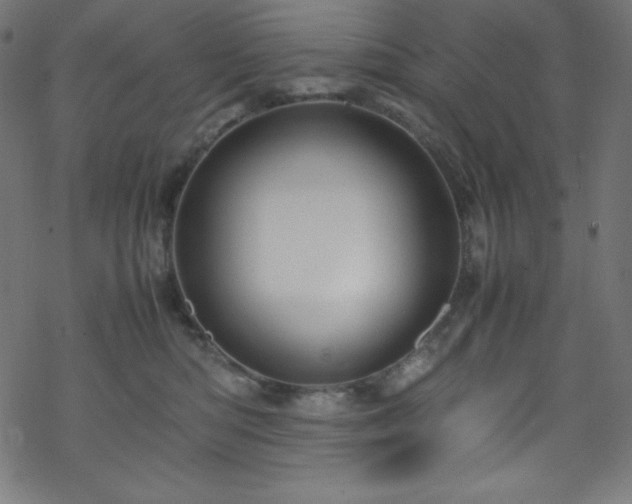 X0000070230422200605301500