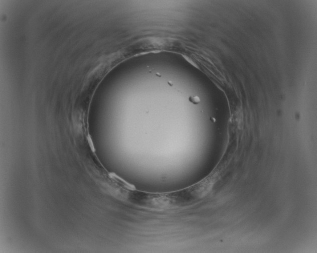 X0000070230423200605301500