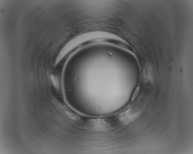 X0000070230424200605301500