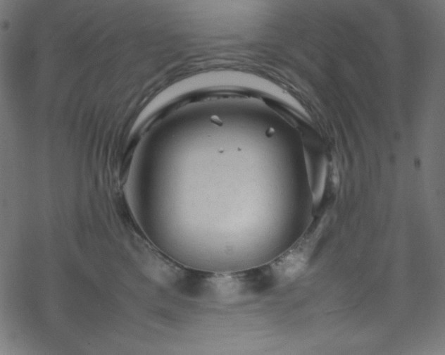 X0000070230425200605301500