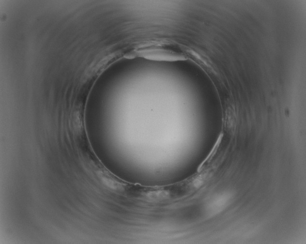 X0000070230426200605301500