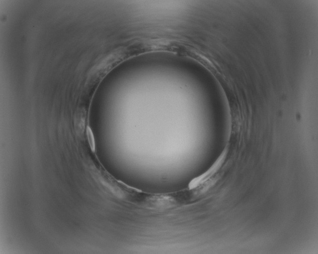 X0000070230427200605301500