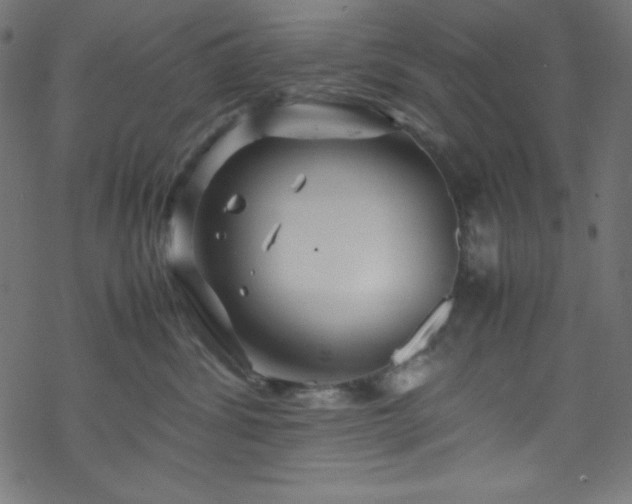 X0000070230428200605301500