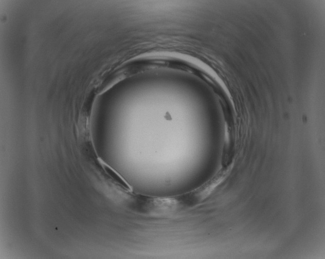 X0000070230429200605301500