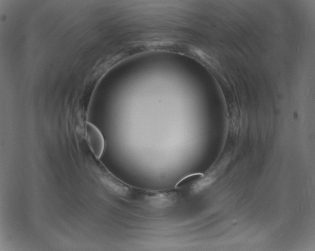 X0000070230430200605301500