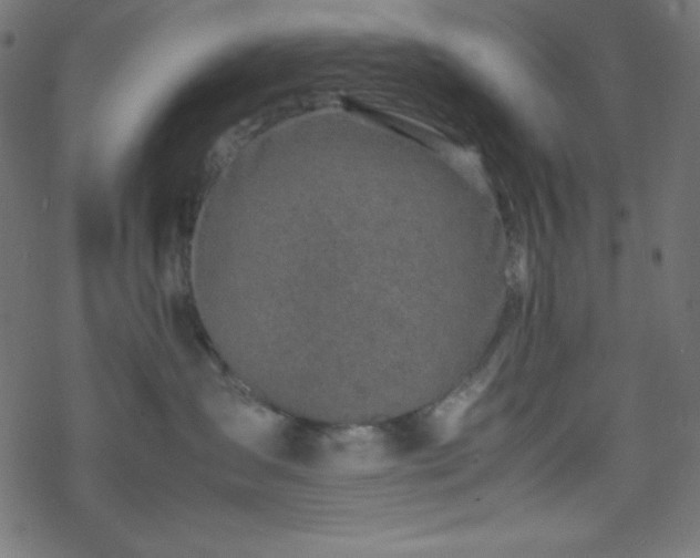 X0000070230431200605301500