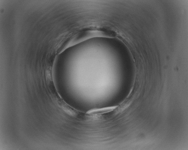 X0000070230432200605301500