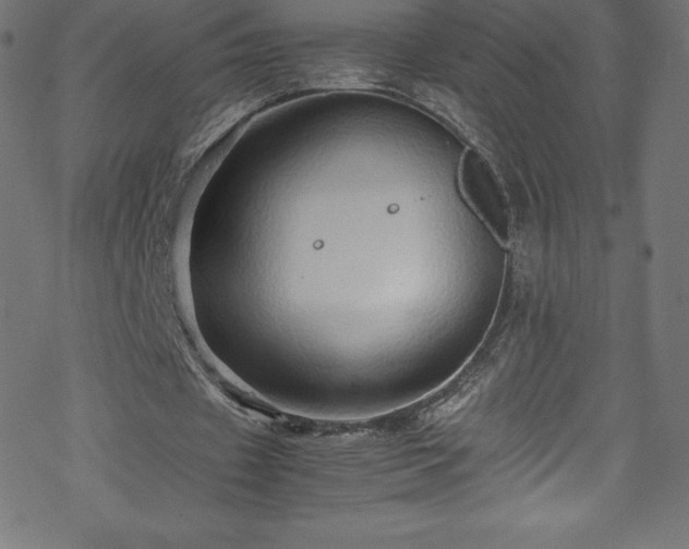 X0000070230433200605301459