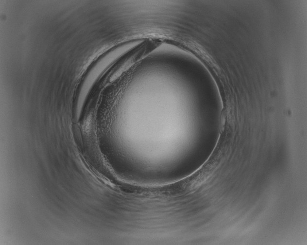 X0000070230434200605301459