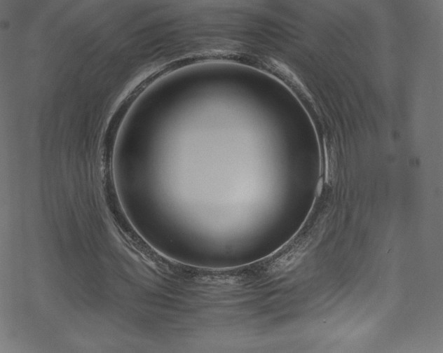 X0000070230435200605301459