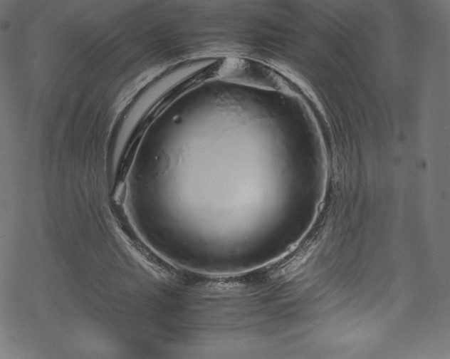 X0000070230437200605301459