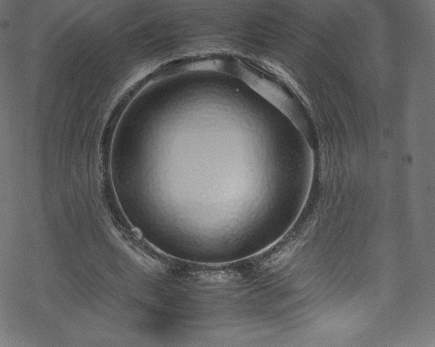 X0000070230439200605301459