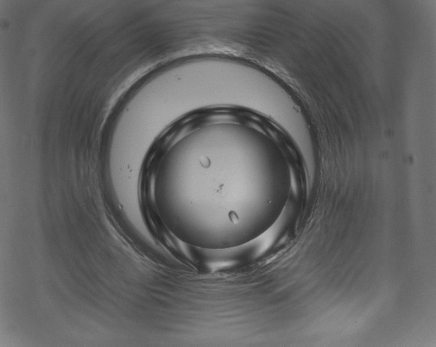 X0000070230440200605301459