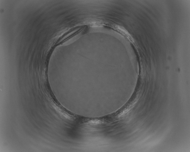 X0000070230441200605301459