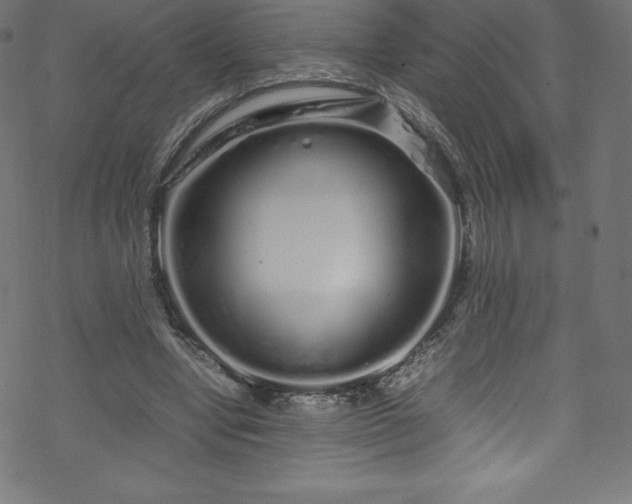 X0000070230442200605301459