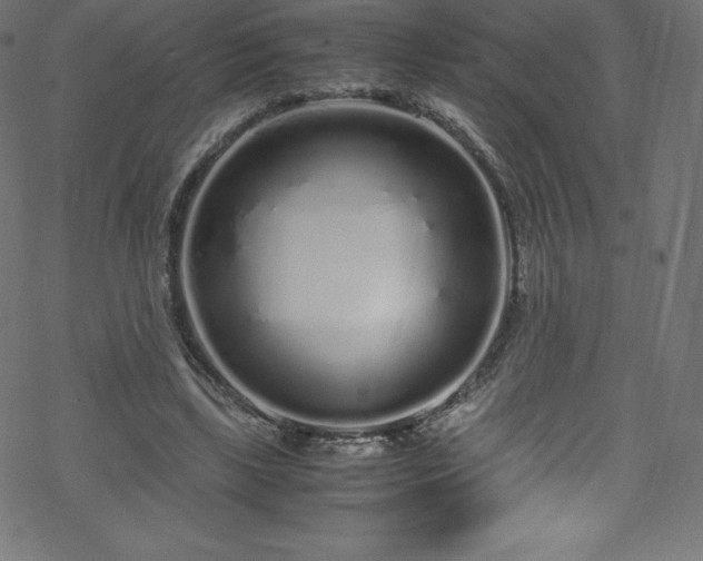 X0000070230443200605301459