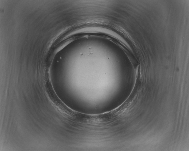 X0000070230444200605301459