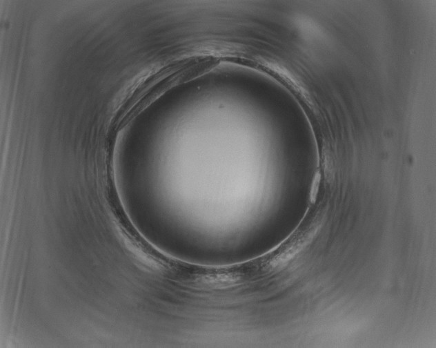 X0000070230445200605301459